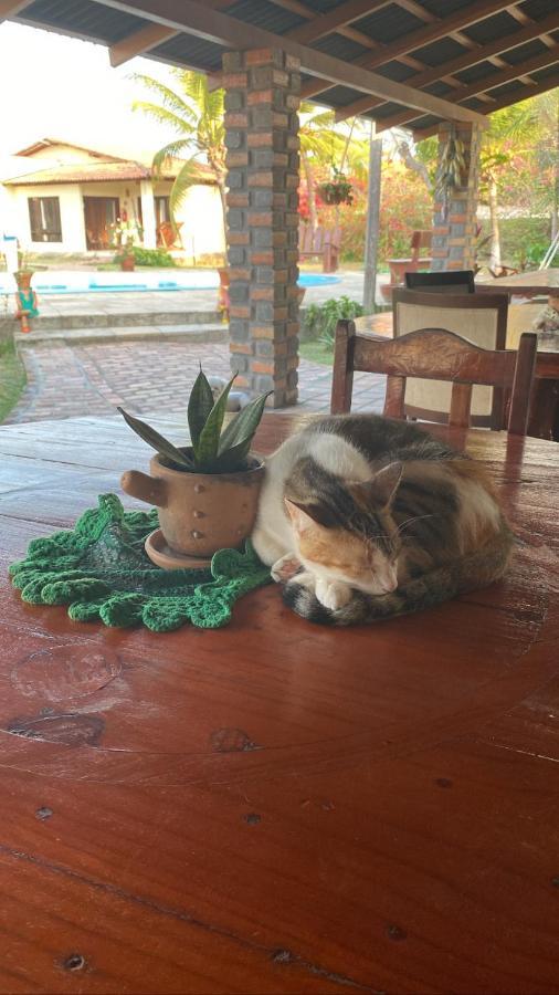 Pousada Sitio Parque Dos Lencois บาร์เฮรินยัส ภายนอก รูปภาพ