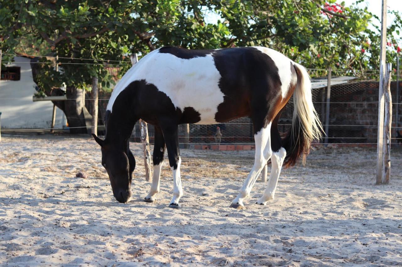 Pousada Sitio Parque Dos Lencois บาร์เฮรินยัส ภายนอก รูปภาพ